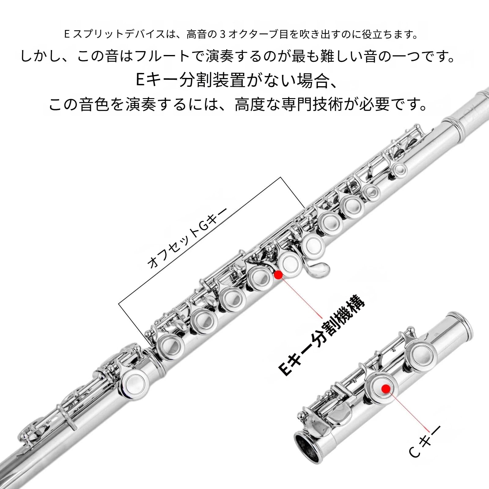 Amazon | 初心者向け フルート | フルート | 楽器・音響機器